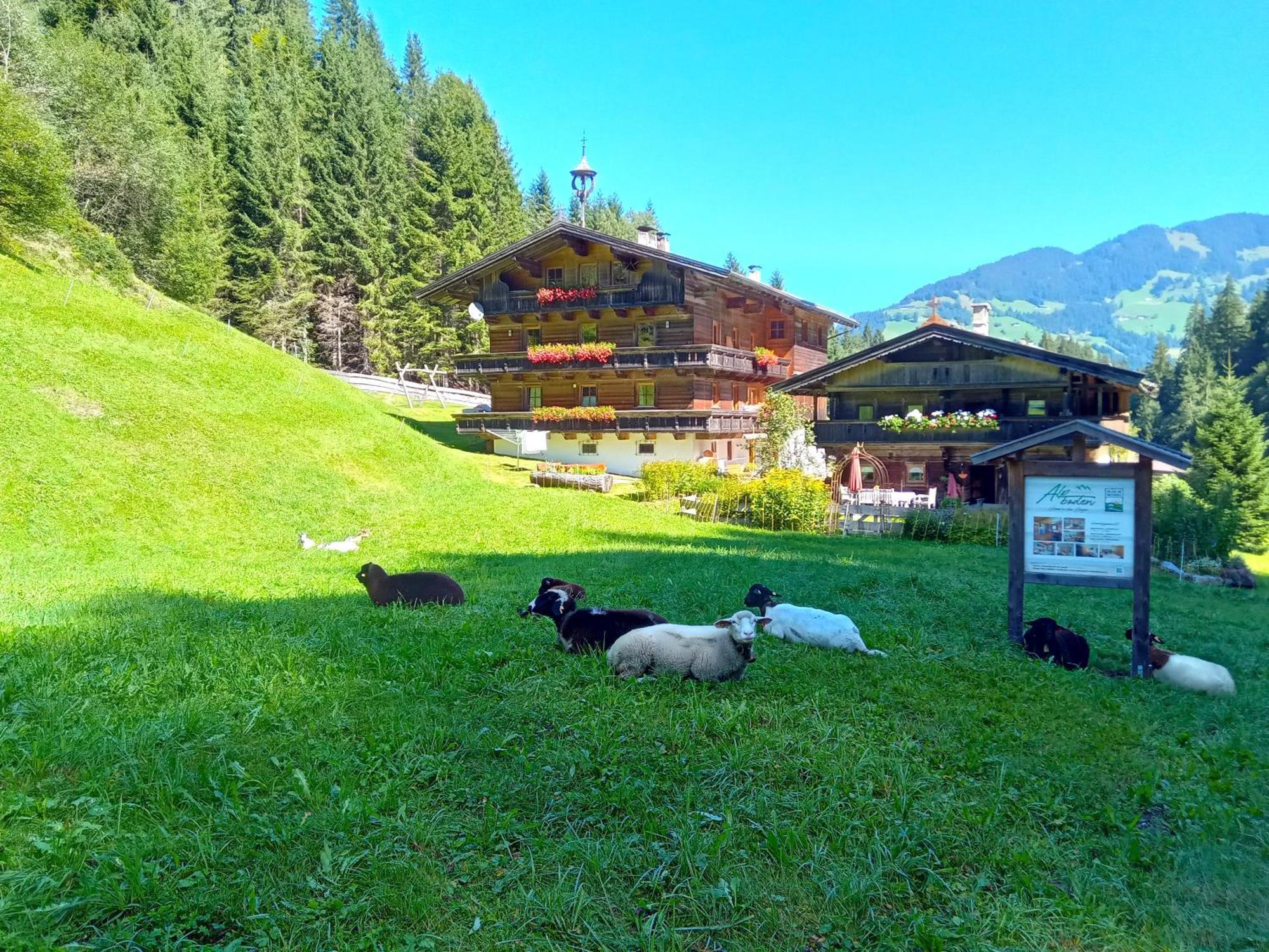 Alpboden